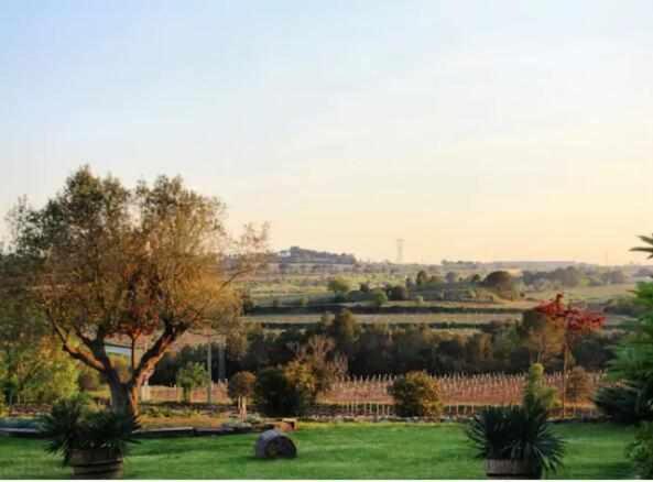 玛西亚奥利维拉酒店 Sant Pau d'Ordal 外观 照片