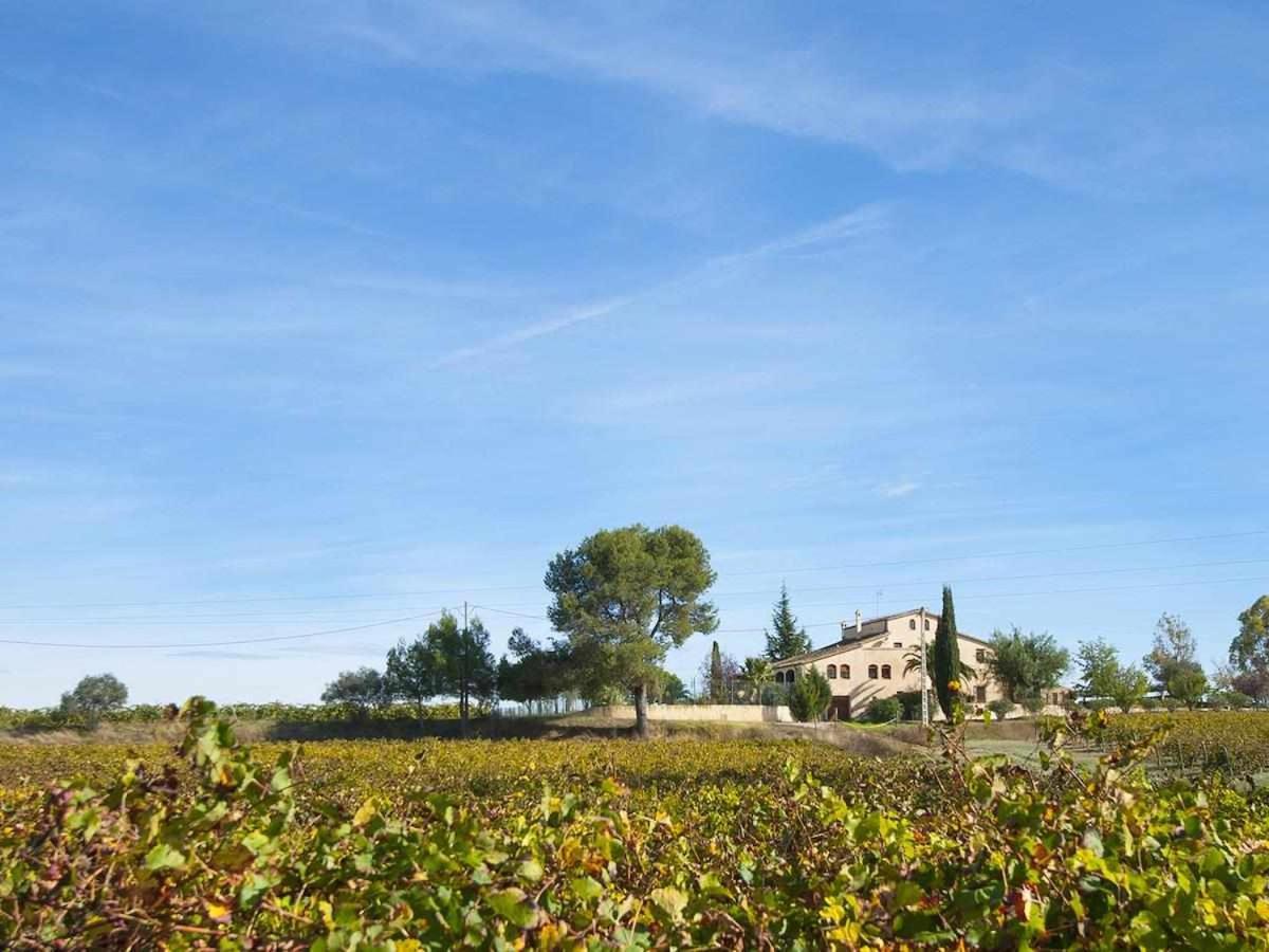 玛西亚奥利维拉酒店 Sant Pau d'Ordal 外观 照片